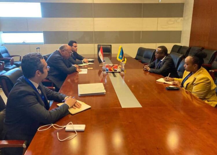 Shoukry stresses Egypt's interest in Egypt-Rwanda heart centre project 1 - Egyptian Gazette