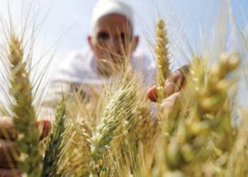 Greenback trouble? Switch to rouble