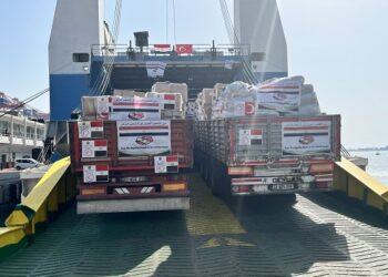 Shoukry, his Turkish counterpart receive sixth Egyptian relif shipment to Turkey