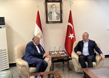 Shoukry, his Turkish counterpart meet in Adana