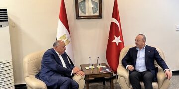 Shoukry, his Turkish counterpart meet in Adana