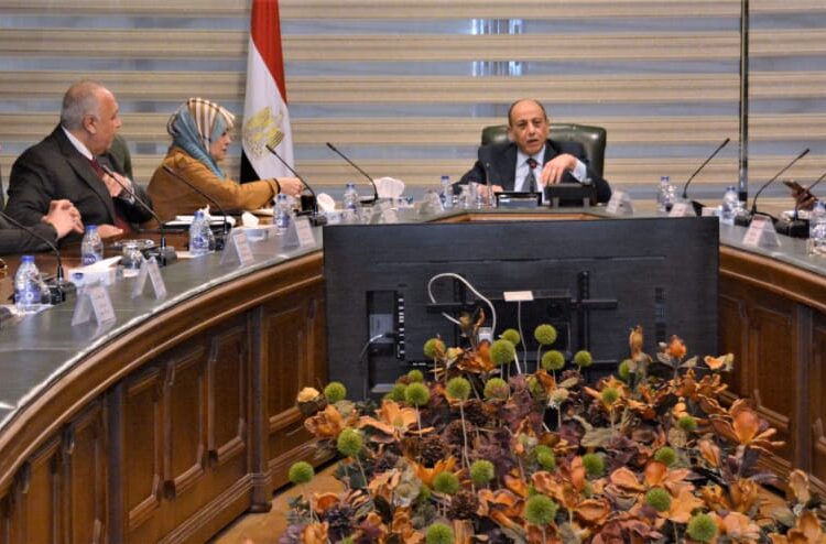 Boosting co-operation with private airlines asset to attracting fresh investments 1 - Egyptian Gazette