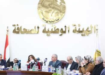 President Sisi pays much attention to Egyptian expats – Gendi