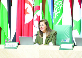 ‘Egypt for exchanging SDGs expertise with Arab countries’