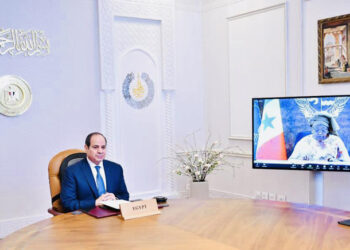 Sisi outlines NEPAD priorities over next 2 yrs