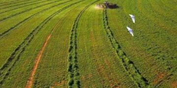 Toshka back on track 1 - Egyptian Gazette