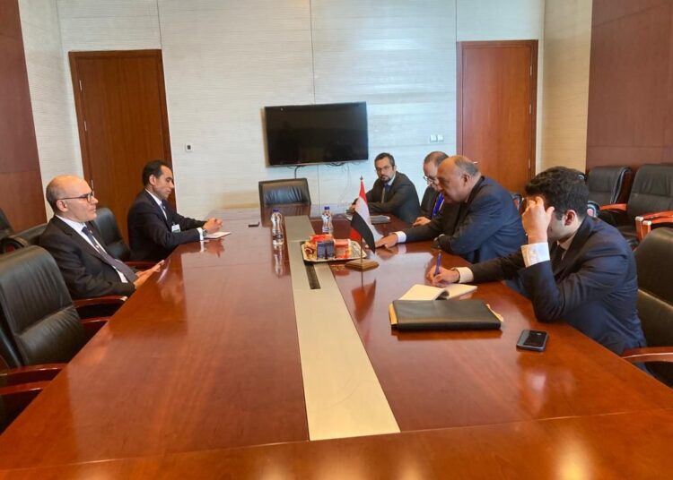 Shoukry asserts Egypt's full support of stability, security in Tunisia 1 - Egyptian Gazette