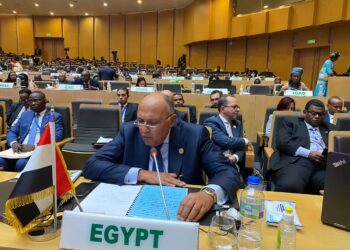 FM lauds AU Committee of 10 efforts on UNSC reform
