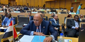 FM lauds AU Committee of 10 efforts on UNSC reform