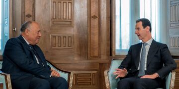 Egypt’s FM in Damascus, meets with Syria’s Assad