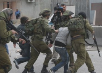 8 Palestinians detained in Jenin, Hebron
