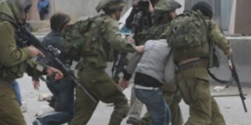 8 Palestinians detained in Jenin, Hebron