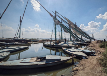 Fishing activities at Burullus port back to normal as weather improves