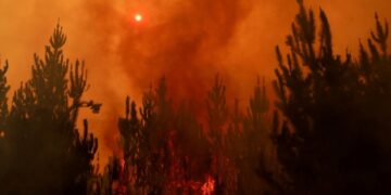 Death toll in Chile forest fires rises to 23