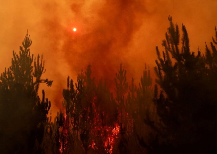 Death toll in Chile forest fires rises to 23 2 - Egyptian Gazette Death toll in Chile forest fires rises to 23 1 - Egyptian Gazette