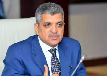 Suez Canal run by Egyptian hands, owned by all Egyptians according to constitution: Rabie