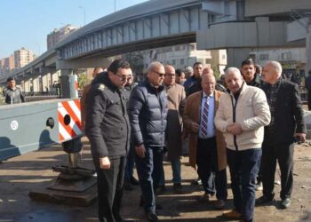 Engineering committee formed to inspect collapse of footbridge in Qalubiya