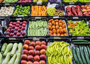 Egypt’s fruit, vegetable exports to Germany nearly €1 billion – Official