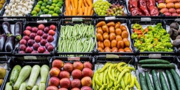 Egypt’s fruit, vegetable exports to Germany nearly €1 billion – Official 1 - Egyptian Gazette Egypt’s fruit, vegetable exports to Germany nearly €1 billion – Official