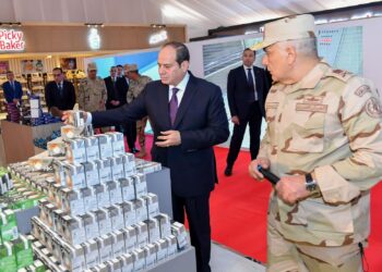 Egypt among best countries concerned with food safety: NFSA chairman