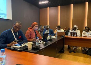 VICMED: promising project to enhance social-economic integration