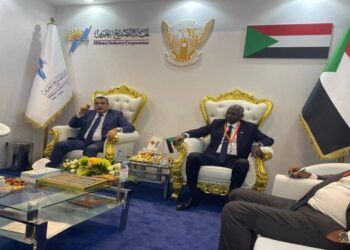 Egypt, Sudan ministers meet at IDEX 2023