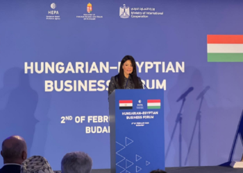 Egypt, Hungary discuss fostering bilateral relations