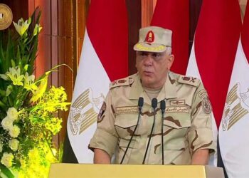 Silo Food Co. produces 750,000 tonnes of basic commodities yearly – Chairman