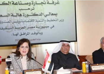 ‘Egypt is capable of embracing Arab investments to realize Arab integrity’