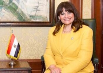 Emigration min. assures expats govt not to access salaries, accounts