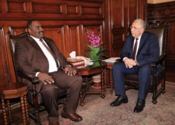 Agriculture min. stresses depth of historical ties between Egypt, Sudan