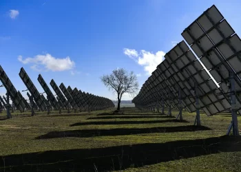 Spain clean energy case shakes confidence in EU investment