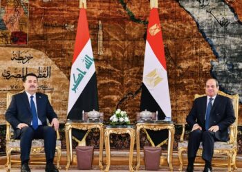 Sisi: Egypt supports Iraq security, stability