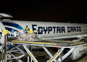 EgyptAir takes part in transferring meat cargos from Chad to Egypt