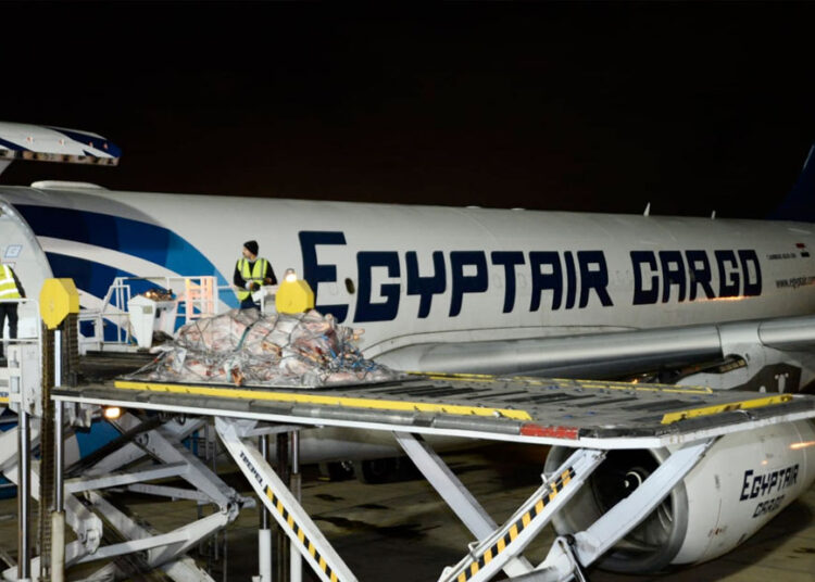 EgyptAir takes part in transferring meat cargos from Chad to Egypt 1 - Egyptian Gazette