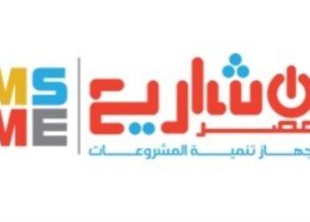 MSMEDA: EGP 7.1 bln pumped into different developmental sectors in 2022