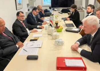 Shoukry meets British min. of energy security in Copenhagen