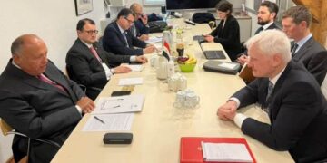 Shoukry meets British min. of energy security in Copenhagen