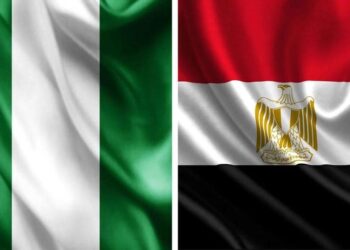 Sisi congratulates Nigeria’s new president on winning presidential elections