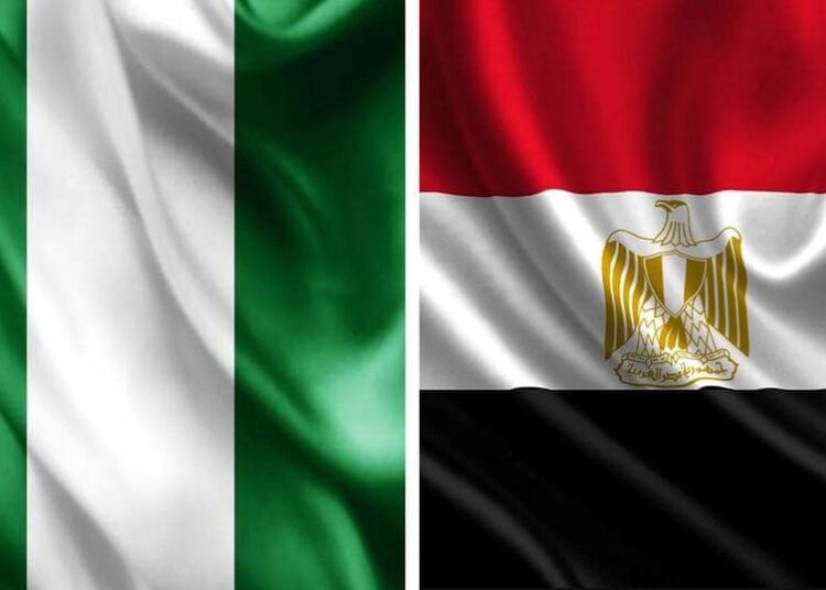 Sisi congratulates Nigeria’s new president on winning presidential elections 1 - Egyptian Gazette