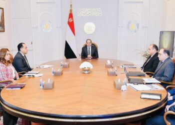 Sisi says coordination ‘necessary’ to render DFC project successful