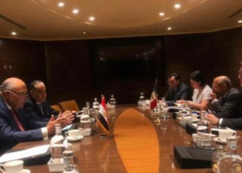 Egypt, Mexico FMs confer on bilateral relations