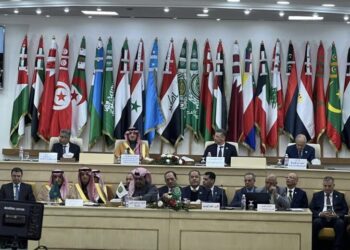 AL chief presses for joint security action in face of Daesh ideology