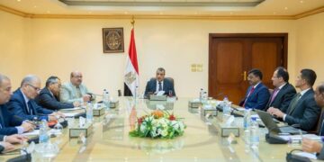 Egypt, India discuss aspects of joint co-operation