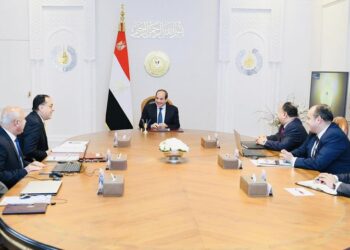 Sisi reviews port development projects nationwide