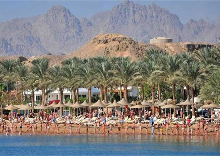 Hosna city in central Sinai braced for unstable weather 2 - Egyptian Gazette Hosna city in central Sinai braced for unstable weather 1 - Egyptian Gazette