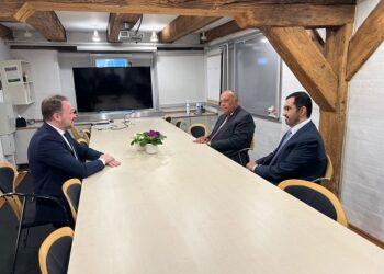 Shoukry holds three-way meeting with Danish minister, COP28 President-Designate
