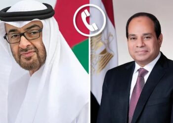 President Sisi holds phone call with UAE president