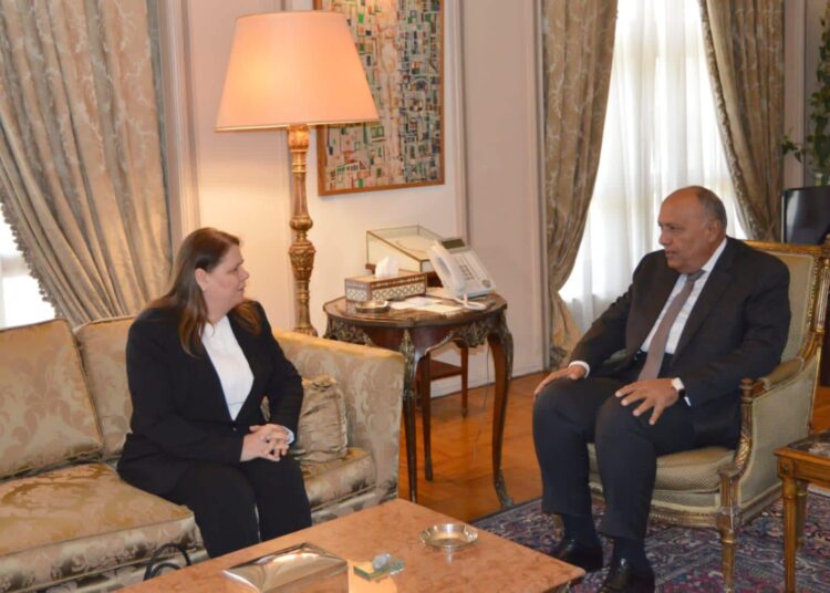 FM receives Fadwa Barghouti, wife of imprisoned Fatah leader 1 - Egyptian Gazette