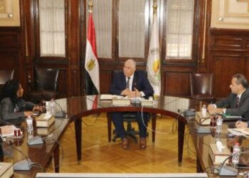 Egypt discusses joint co-operation with WB